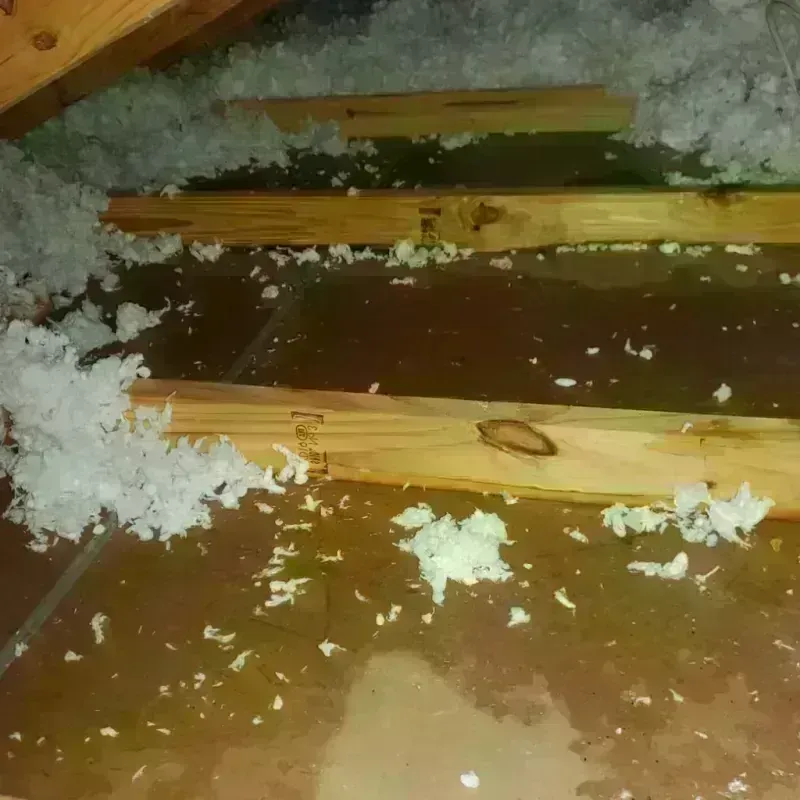 Attic Water Damage in Ashby, MA